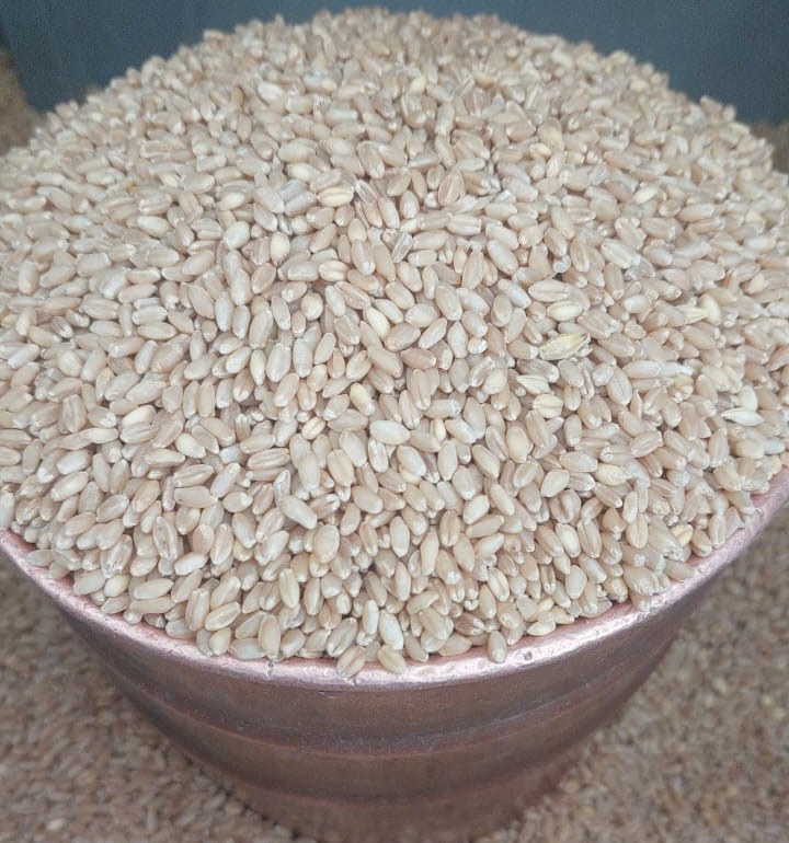 بر القصيم